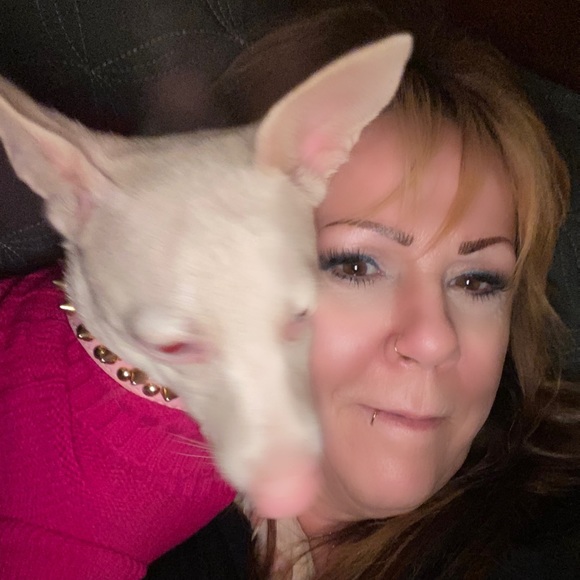 Meet your Posher, Janice - Picture 4 of 4